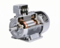 Rotary Vacuum Pumps - Electric Motor