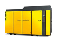 FSG 420-2 W Model 350 Horsepower (hp) Nominal Motor Standard Version Water-Cooled Oil-Free Air Compressor