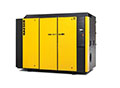 DSD 175 T Model 175 Horsepower (hp) Nominal Motor Output T Version Rotary Screw Air Compressor