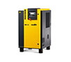 SM 10 Model 10 Horsepower (hp) Nominal Motor Output Standard Version Rotary Screw Compressor